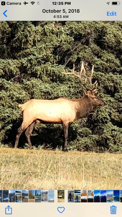 Greenwood Lodge Jasper Bagian luar foto